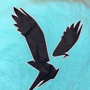 American eagle shirt